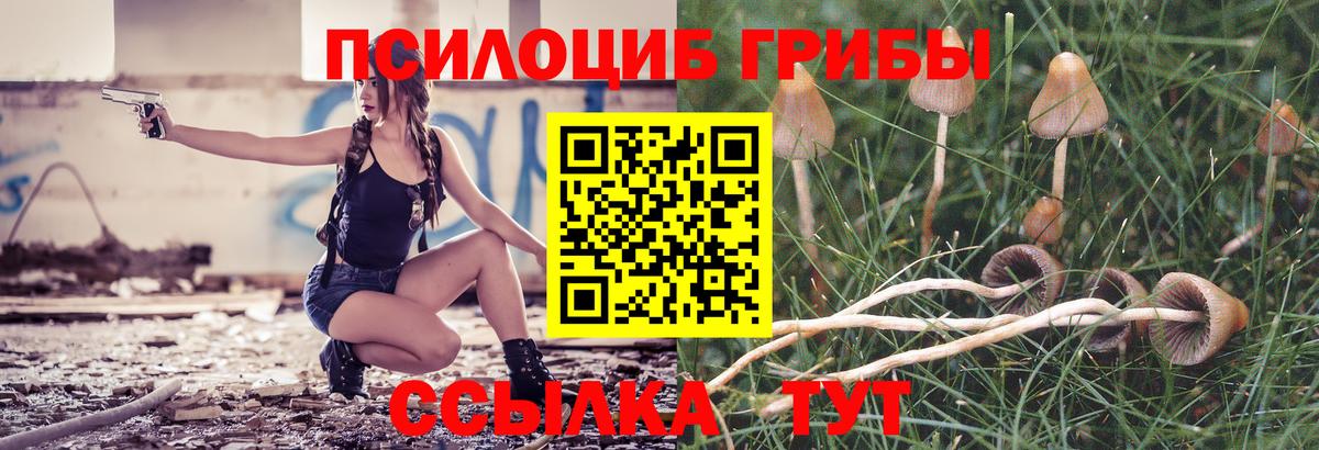 Псилоцибиновые грибы GOLDEN TEACHER  Вход с VPN  Артём 