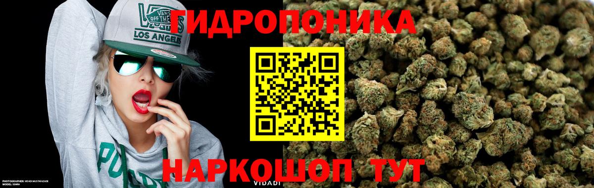 Канабис Amnesia  Вход с VPN  Артём  Каннабис ГИДРОПОН  Конопля OG Kush 